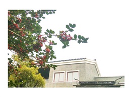 《新居》