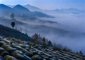 山村初冬