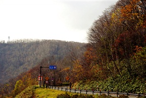 北海道掠影一