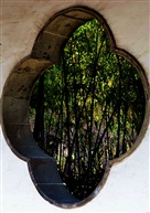 窗口