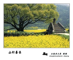 《山村春色》
