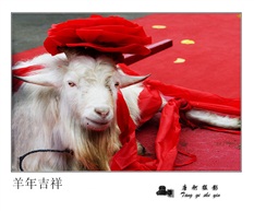 羊年吉祥