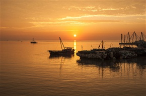 海港晨曲