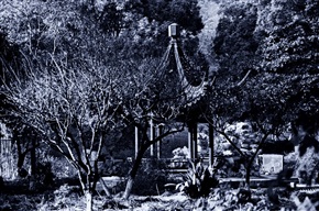 梅与亭