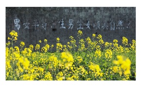 《回家了》8
