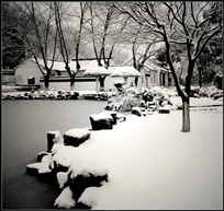 08年大雪