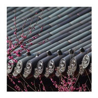 《梅开佛院》