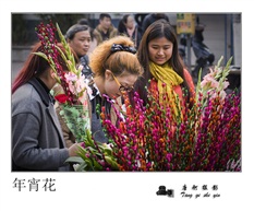 年宵花