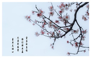 《梅》