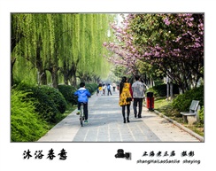 《沐浴春意》