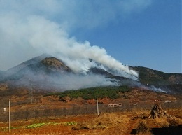 山火蔓延