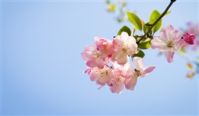 春暖花开