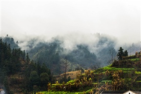 家门前的小景