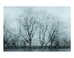 春雨