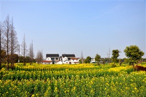 踏青