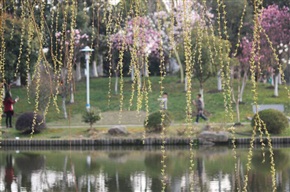 春来了