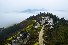石潭春色