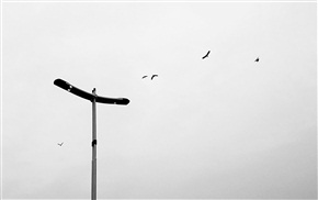 《空》