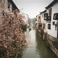 春雨江南