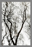 《水墨》