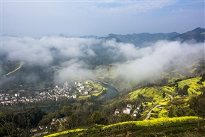 山村春光