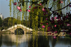 花溪公园