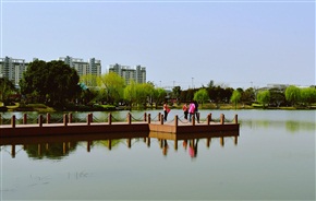 春天里