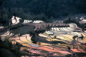 哈尼梯田老虎嘴