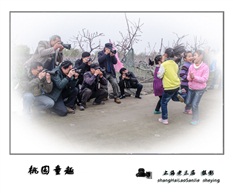 《桃园童趣》