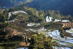 元阳哈尼梯田