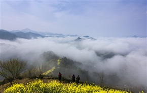 踏遍青山摄春光