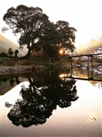 长溪夕照