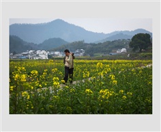 田间