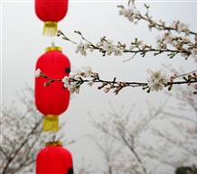 樱花季节2