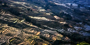 元阳梯田坝达