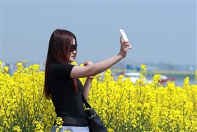 花中花