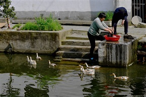 水乡生活2