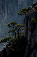 《小景》