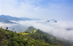 山村春光