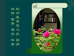 你拉乐器我唱戏曲
