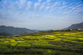 山村春光