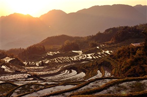 云和梯田
