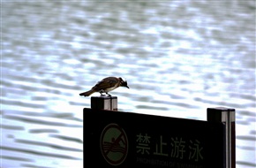 我想下水