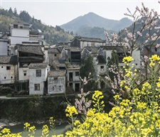 春到山村
