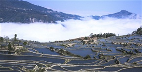 蓝梯田
