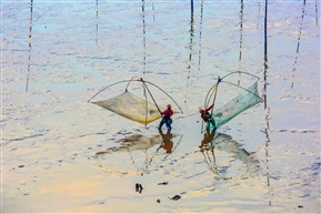 赶海