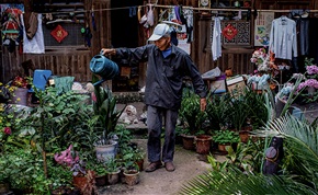 《一个人的后花园》