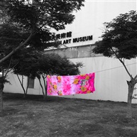 展
