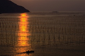 海滩晨韵