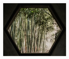 春意